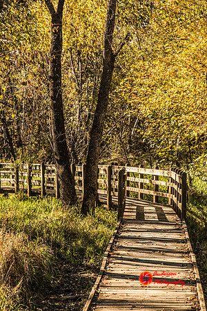 IMG_5089-Edit-Edit