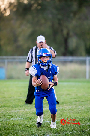 3J7A8272