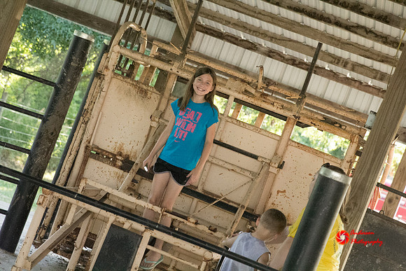IMG_0647