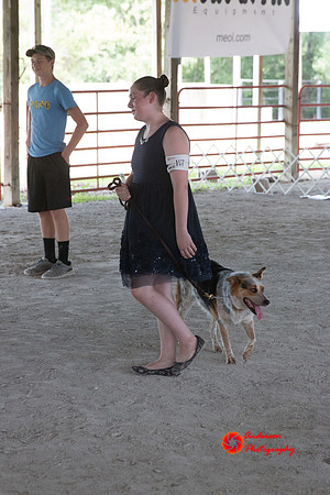 IMG_9336