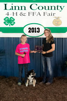 Dog Show