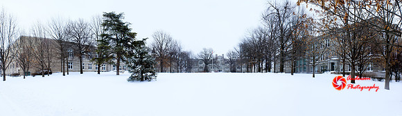 UCM Quad 2
