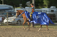 Horse Show