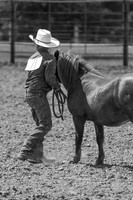 IMG_8484-2
