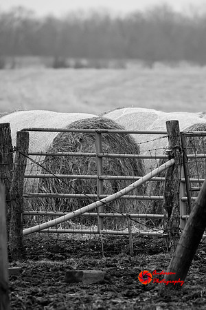 B&W Rural Pix