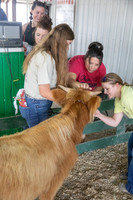 4-H/FFA