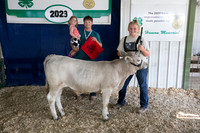 Beef Show