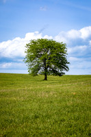 Photographer's Picks