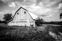 Photographer's Picks