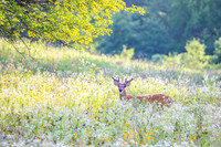 Photographer's Picks