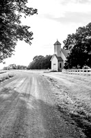 Photographer's Picks
