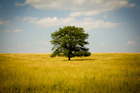 Photographer's Picks