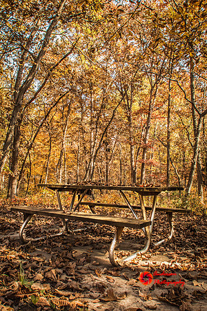 IMG_5289-Edit