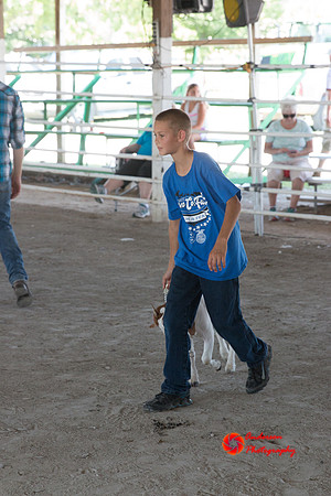 IMG_2374