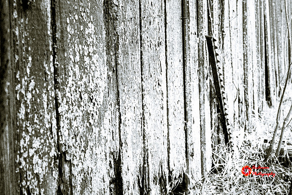 Old Wood