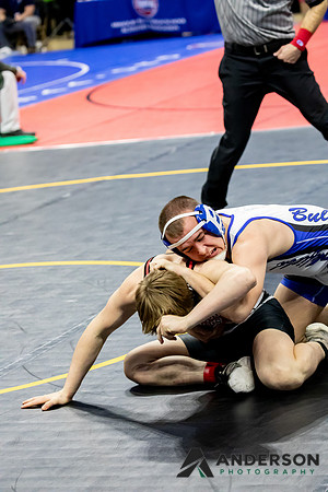 3J7A3317