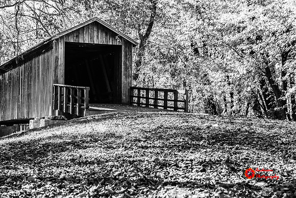 IMG_5070-Edit-2
